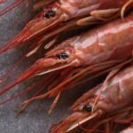 Frozen Prawn Wild Caught