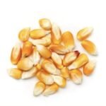 Gmo Yellow Corn Grade 2
