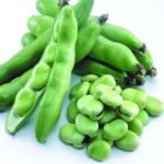 Green Broad Beans