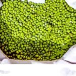 Green Lentils