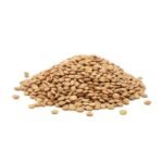 Green Lentils