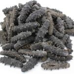 Dried Sea Cucumbers High Quality Dry Sea Cucumber