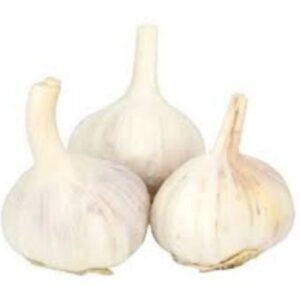 Fresh Normal White Garlic Red Purple High Quality Fresh Normal White Gralic Purple Garlic And Red Garlic