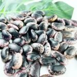 Large Black Speckled Kidney Beans