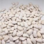 Large White Kidney Beans