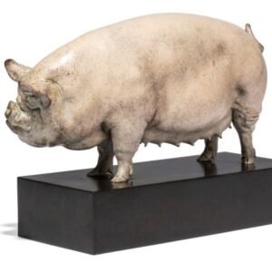 Middle White swine