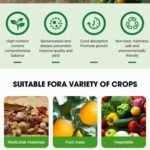 NPK 12 48 10 Water Soluble Fertilizer