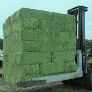 Alfalfa Hay For Cattle Feed Natural Cattle Alfalfa Hay Animal Feed For Sale