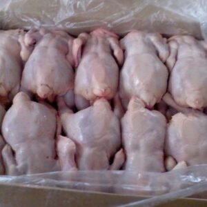 Premium Frozen Chicken