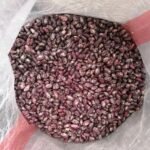 Wholesale Price 100% Natural Purple Speckled Kidney Beans Purple Speckled Kidney Beans Long Shape
