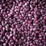Wholesale Price 100% Natural Purple Speckled Kidney Beans Purple Speckled Kidney Beans Long Shape