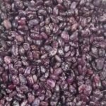 Purple Speckled Kidney Beans Long Shape