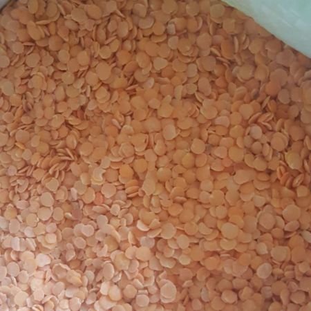 Red Lentil | Dried Lentils Quality Red Lentils