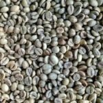Robusta Coffee Beans