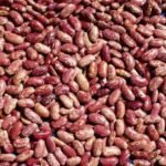 Small Red Kidney Beans