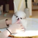 Soonja