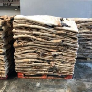 Wet Salted Cow Hides