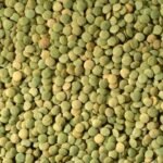Wholesale Green Lentils