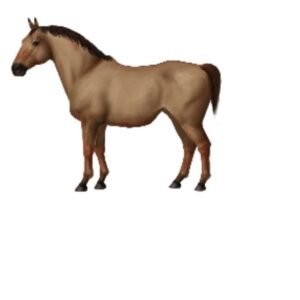 Yanqi Horses