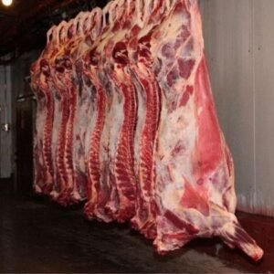 Frozen beef Whole Carcass