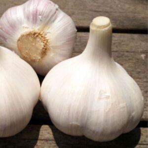 4 and 6 Clove Garlic