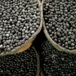 Acai Oil