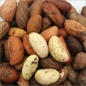 African Bitter Kola Nuts