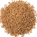Alfalfa Seeds