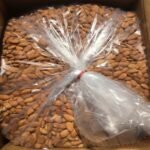 Almond KernelsGood Quality Almond NutsAlmond Without Shell