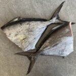 Angel Fish Fillets