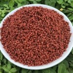 Annatto Seeds
