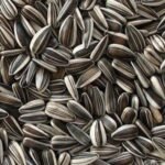 Best Quality Sunflower Seeds