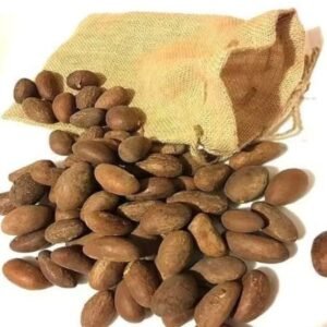 Bitter Kola (Garcinia Kola)