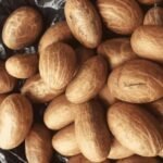 Bitter Kola (Garcinia Kola)