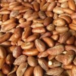 Bitter Kola Nuts African