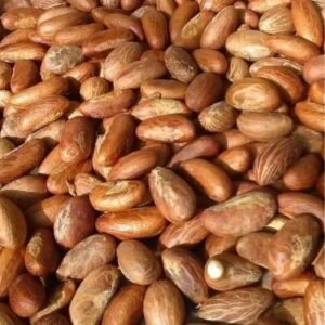 Bitter Kola Nuts African