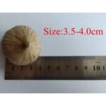 Black Garlic