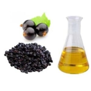 Blackcurrant Seed Oil