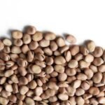Broad Beans