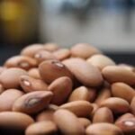 Brown Bean ( Cream Beans ).