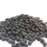 Common Vetch Seeds