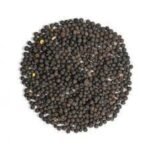 Common Vetch Seeds
