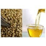 Coriander Seed Oil