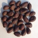 Cottonseeds For Herbal Medicine