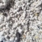 Cottonseeds For Herbal Medicine