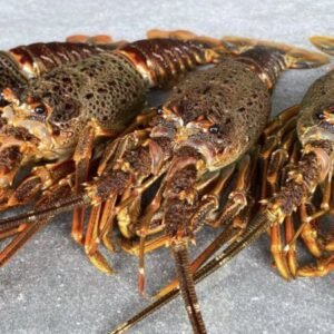 Crayfish Box