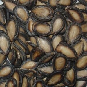 Dried Hulled Watermelon Seeds For Sale