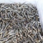 Dried Sprat Anchovy