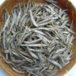 Dried Sprat Anchovy