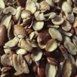 Elite Mango Seeds